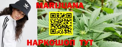 прущие крисы Кандалакша