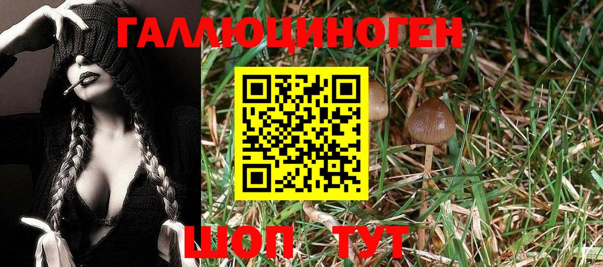 Кувандык  Псилоцибиновые грибы ЛСД  Псилоцибиновые грибы Magic Shrooms  Вход с VPN 