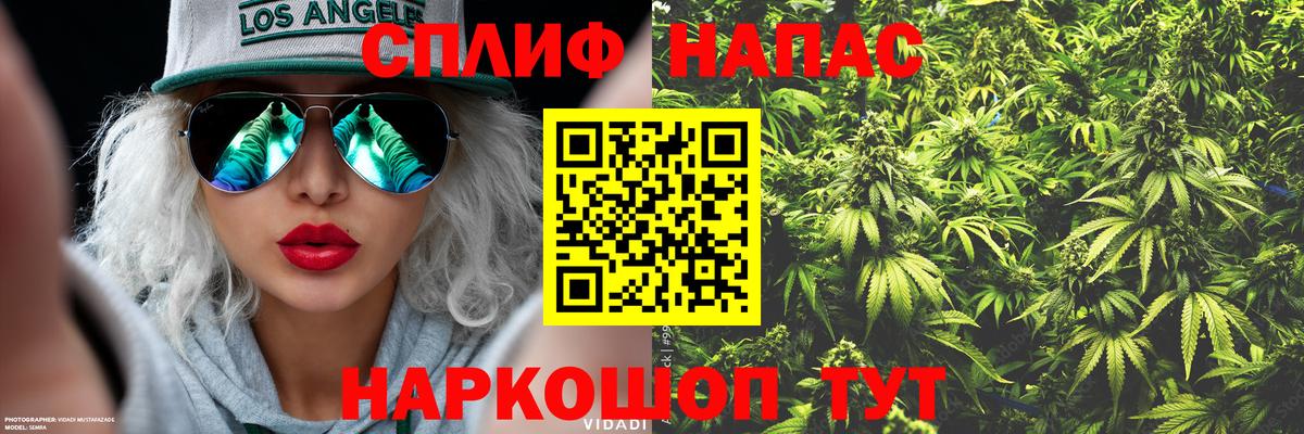 Марихуана сатива  Бошки Шишки планчик  Вход с VPN  Шишки марихуана план  Кувандык 